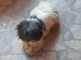 Bili