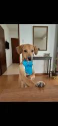 Billy