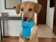 Billy