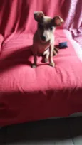 Romeu