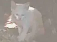 Não sei