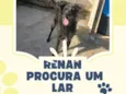 Renan