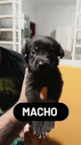 Sem nos nomes ainda