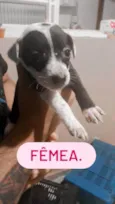 Sem nos nomes ainda