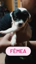 Sem nos nomes ainda