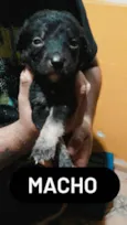 Sem nos nomes ainda