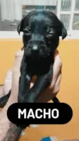 Sem nos nomes ainda