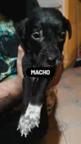 Sem nos nomes ainda