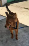 Jully