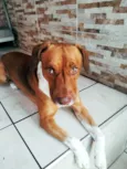 Billy