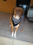 Billy