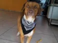Billy
