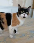 Sara