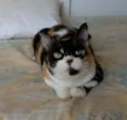 Sara