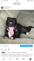 Aisha
