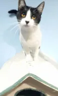 Maggie