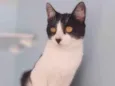 Maggie