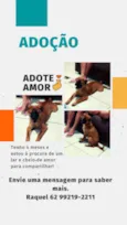 Teddy