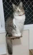 Benedita