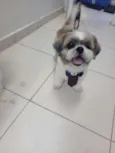 PEDRINHO