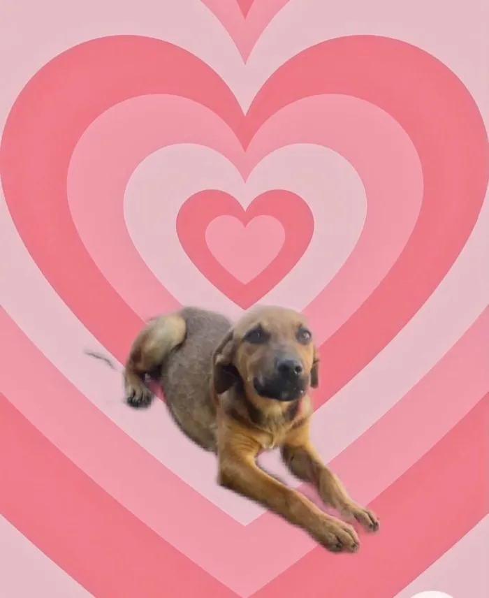 Poppy linda bb3meses