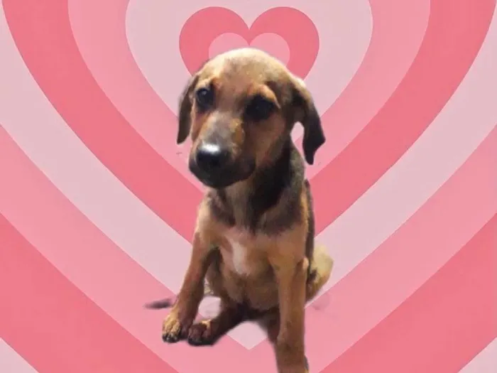 Oliver bb3meses fofo