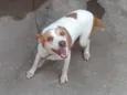 Cadela