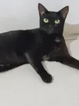 Preta