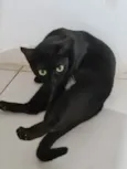 Preta