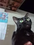 Preta