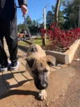 Léo