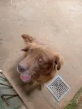 Léo 