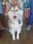 Zeus
