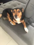 Frida