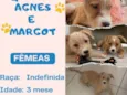 Agnes e Margot