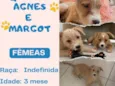 Agnes e Margot