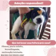 Babalu