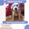 Chantili 