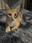 Louise
