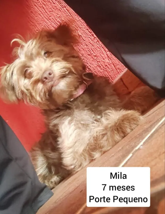 Mila 