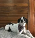 Frida