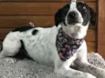 Frida