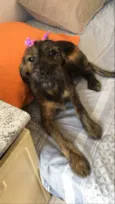 Princesa 