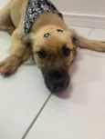 João