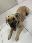 João