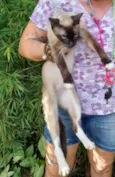 Mãe
