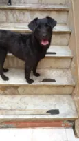 Lola