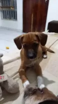 Kaya 