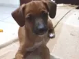 Kaya 