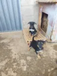 Xena 